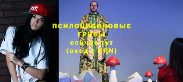 амф Алзамай