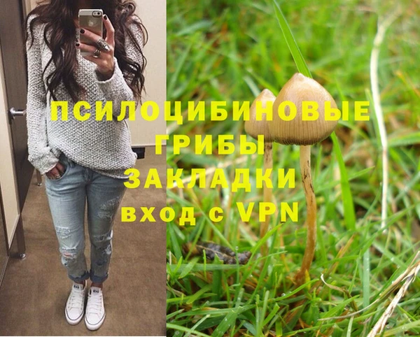 амф Алзамай