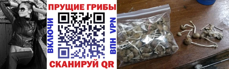 продажа наркотиков  Джанкой  Псилоцибиновые грибы MAGIC MUSHROOMS 